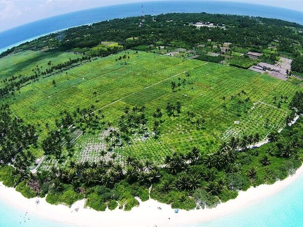 Alif Alif Atoll, thoddoo island arial view.